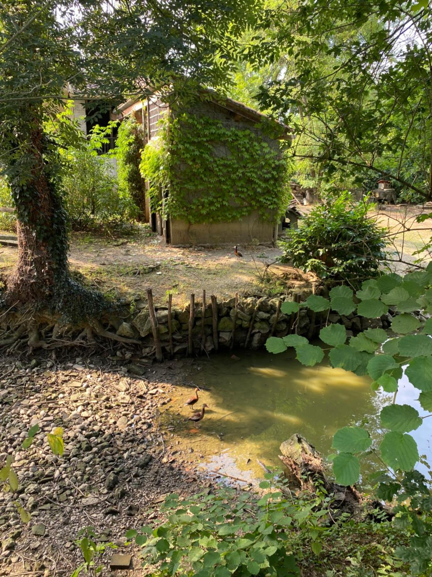La Seigneurie De Tillac エクステリア 写真