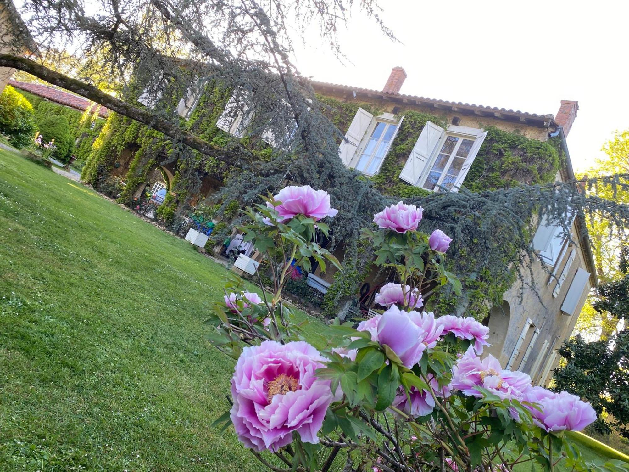 La Seigneurie De Tillac エクステリア 写真